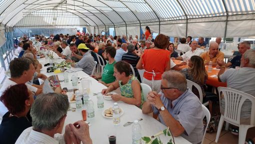 Nocciole, la resa ridotta di quest’anno ne aumenta il valore