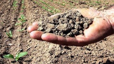 Per l’agricoltura piemontese 26 milioni di euro annuali