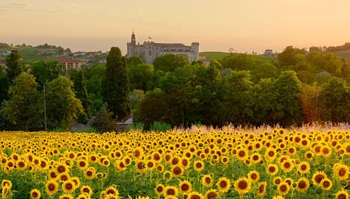 Una suggestiva immagine di Costigliole d'Asti "vista" da un campo di girasoli e con, sullo sfondo, il maestoso castello del paese