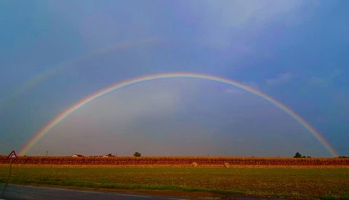 Il colore dell'arcobaleno: la rubrica dei colori a cura della residenza per disabili "Il Borgo"