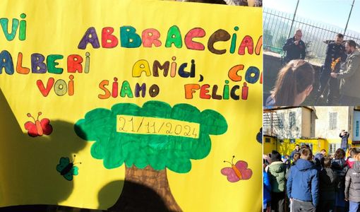 San Marzano Oliveto celebra la "Giornata Nazionale degli Alberi" San Marzano Oliveto celebra la "Giornata Nazionale degli Alberi"