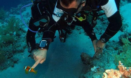 Domenica alla piscina comunale di Asti una giornata alla scoperta della subacquea