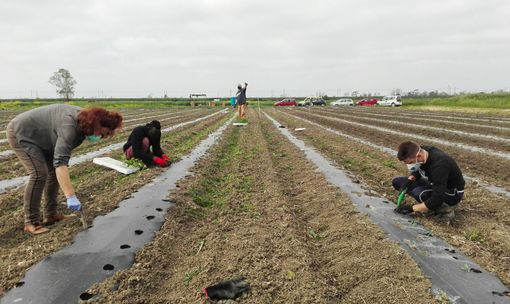 Astigiano e casertano uniti dalle passate di pomodoro etiche Astigiano e casertano uniti dalle passate di pomodoro etiche