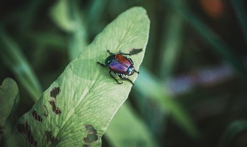 Foto di Richie Bettencourt - tamite Unsplash Foto di Richie Bettencourt - tamite Unsplash