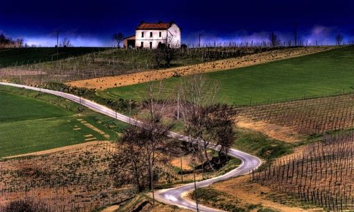 Un panorama delle colline monferrine, Patrimonio Unesco, realizzato da Vittorio Ubertone-400 ASA Un panorama delle colline monferrine, Patrimonio Unesco, realizzato da Vittorio Ubertone-400 ASA