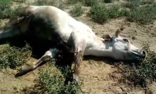 Un frame tratto dal video