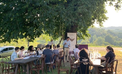 La Wine Academy di degustazioni gratuite per scoprire curiosità, storie e caratteristiche dei vini piemontesi