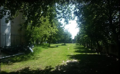 Uno scorcio del parco degli Alpini di Nizza Monferrato, area verde oggetto di riqualificazione Uno scorcio del parco degli Alpini di Nizza Monferrato, area verde oggetto di riqualificazione
