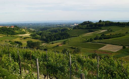“PoMonf Verde per Giovani” fa tappa ad Albugnano: il 21 giugno una notte di stelle e vino sul Balcone del Monferrato