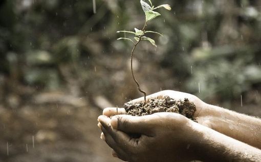 Siccità, Coldiretti Asti: &quot;Un giorno di pioggia non basta. Accelerare su piano invasi&quot;