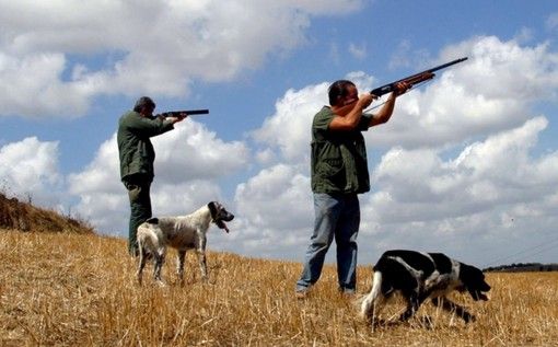 "No all’apertura alla caccia a 15 nuove specie”: l'appello di Legambiente Piemonte e Valle d'Aosta "No all’apertura alla caccia a 15 nuove specie”: l'appello di Legambiente Piemonte e Valle d'Aosta