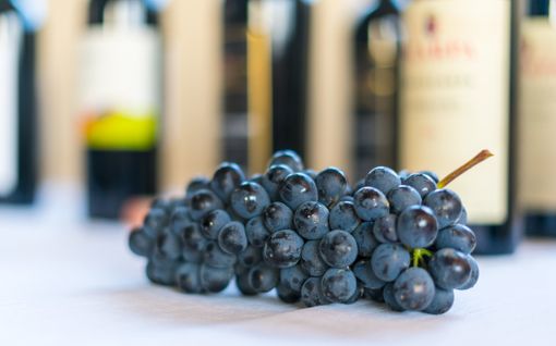 Foto di Giorgio Gulmini