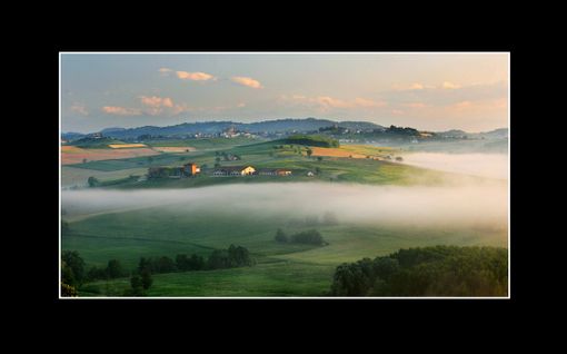 “Tenuta Montemagno”, storia di un'impresa familiare vocata all’innovazione