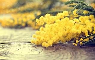 Una “Monumentale Dimenticanza” in ricordo delle donne perle vie di Asti