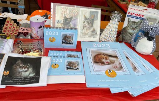 'A Natale i regali fanno le fusa': Protezione Micio presente la Magico Paese di piazza Roma 'A Natale i regali fanno le fusa': Protezione Micio presente la Magico Paese di piazza Roma