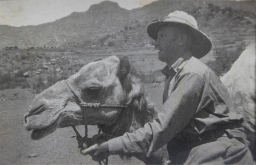 Scagliola sul dromedario nella guerra d'Africa