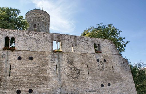 Torre e resti del castello medioevale di Roccaverano