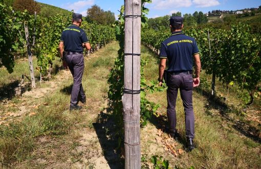 Dalla vigna al ristorante, l'estate "in nero" scoperta dai finanzieri di Asti e Canelli