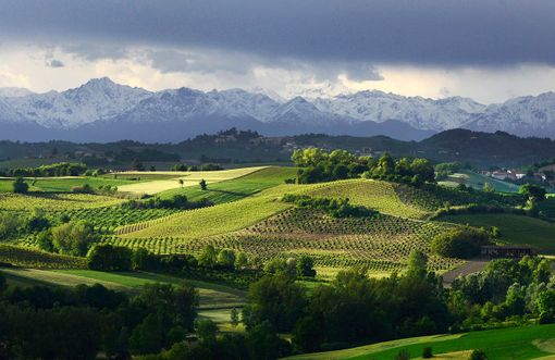 Penango. Ricettatori fuggono al controllo dei Carabinieri. Arrestati a Portacomaro dopo pericoloso inseguimento