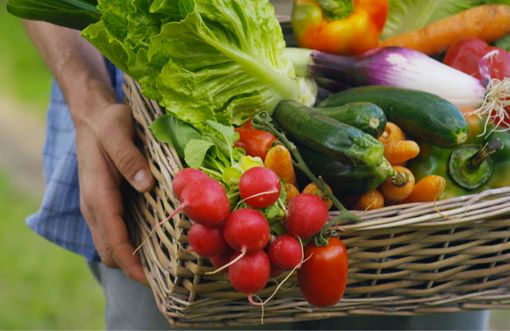 "Rinunciare all'agricoltura biologica? Lasciate decidere gli imprenditori". Coldiretti commenta l'attacco di Syngenta "Rinunciare all'agricoltura biologica? Lasciate decidere gli imprenditori". Coldiretti commenta l'attacco di Syngenta