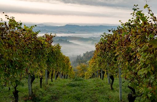 Il Turismo 'fa i conti' con il Covid: "I prossimi due anni saranno dedicati a sopravvivere, poi puntare su Olimpiadi e Atp" Il Turismo 'fa i conti' con il Covid: "I prossimi due anni saranno dedicati a sopravvivere, poi puntare su Olimpiadi e Atp"