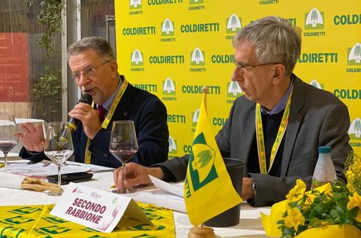 Anteprima Barbera 2025: un'annata superlativa in degustazione ad Asti