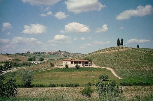 Dal 9 ottobre al 6 novembre Il Festival del Paesaggio Agrario riflette  sullo sviluppo delle comunità rurali Dal 9 ottobre al 6 novembre Il Festival del Paesaggio Agrario riflette  sullo sviluppo delle comunità rurali