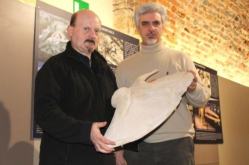 Bisconti e Damarco con una scapola di balenottera