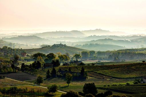 Consorzio Barbera d’Asti e vini del Monferrato è partner di Monsterrando