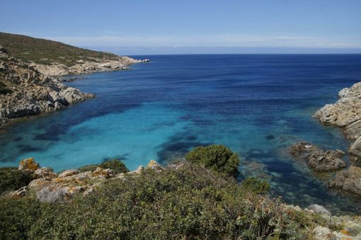 Escursioni all'Asinara: un'esperienza indimenticabile tra mare e natura