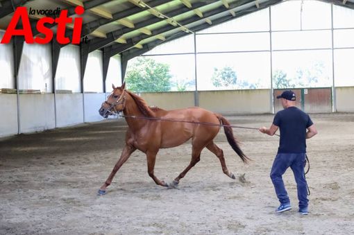 Le foto della prima giornata di visite (Merphefoto)