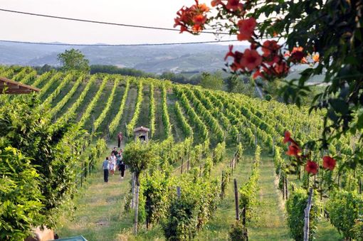Continua lo “Storymoving Festival: Le Cascine e i Castelli”. Appuntamento domemica a Calamandrana