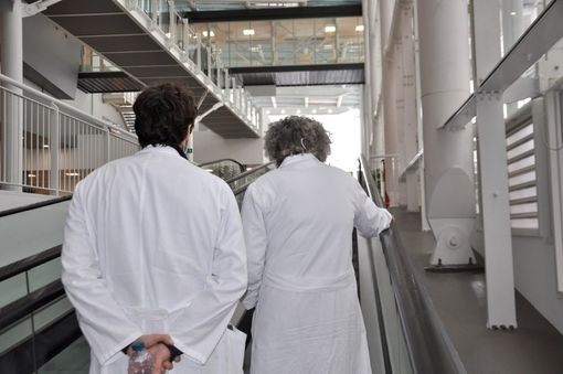 Immagine di repertorio Immagine di repertorio