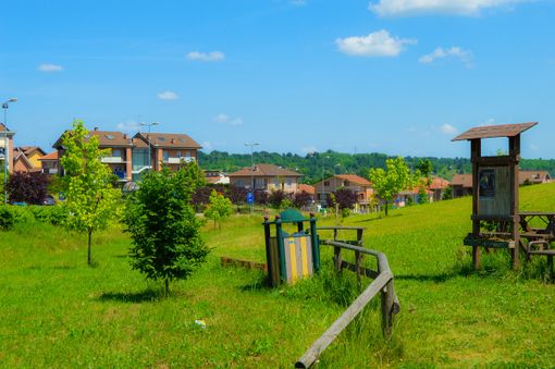 Dopo il rinvio per maltempo, torna la Festa dell'Albero al Parco del Fontanino Dopo il rinvio per maltempo, torna la Festa dell'Albero al Parco del Fontanino