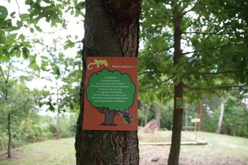 Albero dedicato (foto tratta dal sito internet dell'associazione) Albero dedicato (foto tratta dal sito internet dell'associazione)