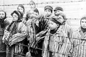 Immagine dalla Shoah. Traingoli rossi