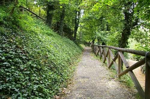 Foto del Bosco dei Partigiani tratta dal sito Osservatorio del Paesaggio