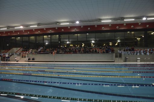 Festa di Natale dello scorso anno Festa di Natale dello scorso anno