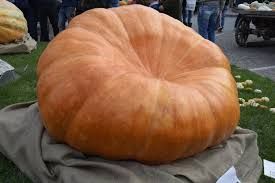 Fiera Nazionale della Zucca delle Meraviglie a Piea 27-29 settembre