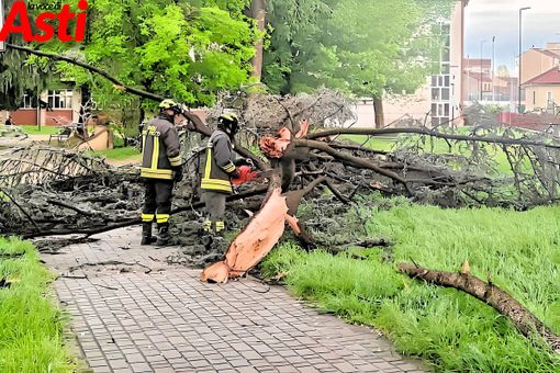 L'intervento in corso Volta di oggi pomeriggio L'intervento in corso Volta di oggi pomeriggio