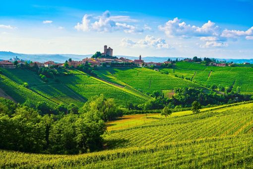 ONAV celebra Alto Piemonte e Gran Monferrato Città del Vino 2024