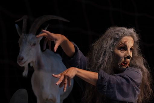 Paola Tortora Paola Tortora