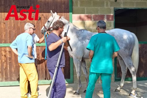 Galleria fotografica a cura di Merfephoto - Efrem Zanchettin