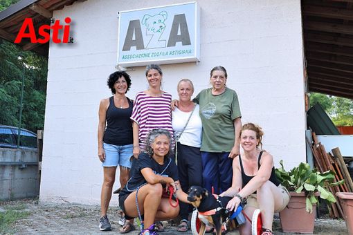 (Merphefoto) (Merphefoto)