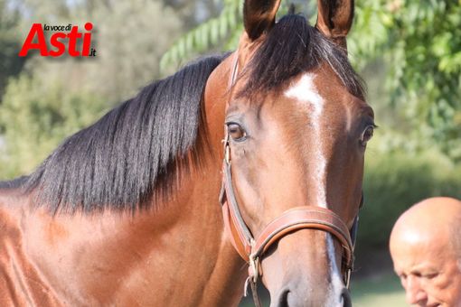 Galleria fotografica a cura di Efrem Zanchettin