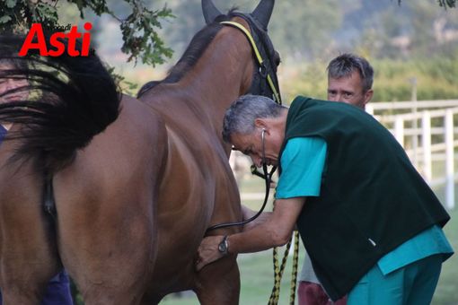 Merphefoto Merphefoto