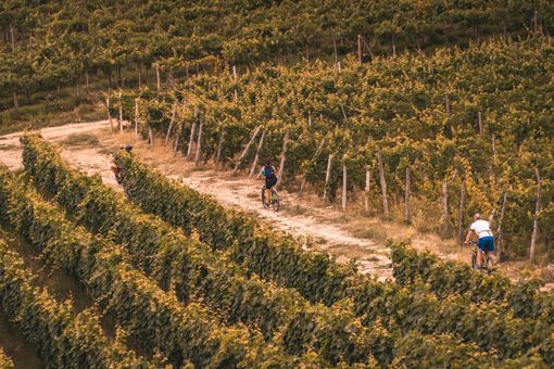 Landscape Storymovers® presenta "I cammini e le ciclovie delle memorie"