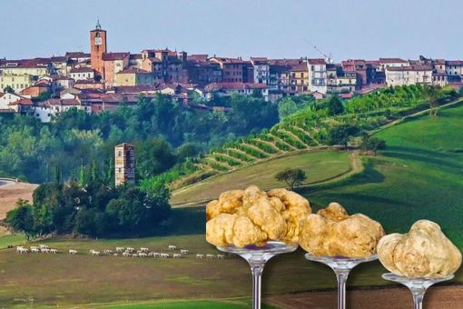 Montechiaro 'al lavoro' per una nuova edizione della Fiera Nazionale del Tartufo Bianco Montechiaro 'al lavoro' per una nuova edizione della Fiera Nazionale del Tartufo Bianco