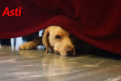 (Merphefoto) (Merphefoto)