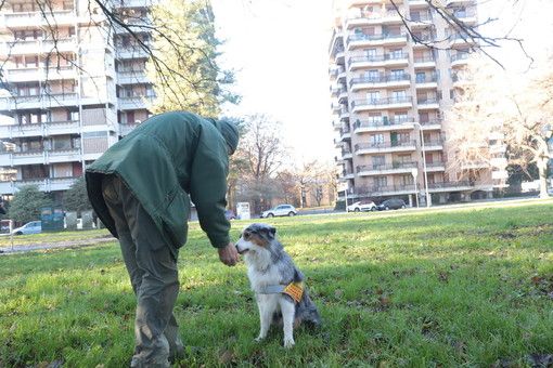 Cani che salvano cani (e non solo): contro bocconi killer arrivano a Torino le unità antiveleno Cani che salvano cani (e non solo): contro bocconi killer arrivano a Torino le unità antiveleno